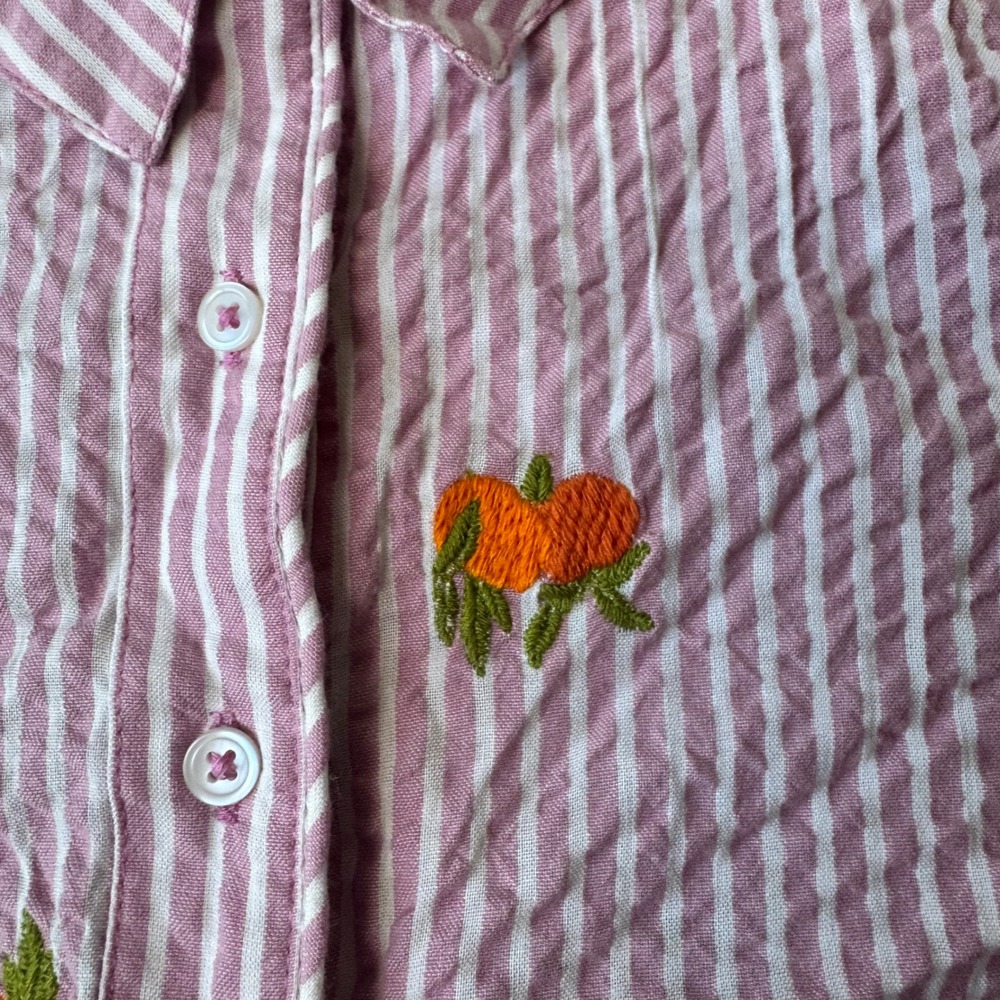 Anthropologie Maeve Embroidered Button Down Fruit Striped Size Small - Picture 7 of 8